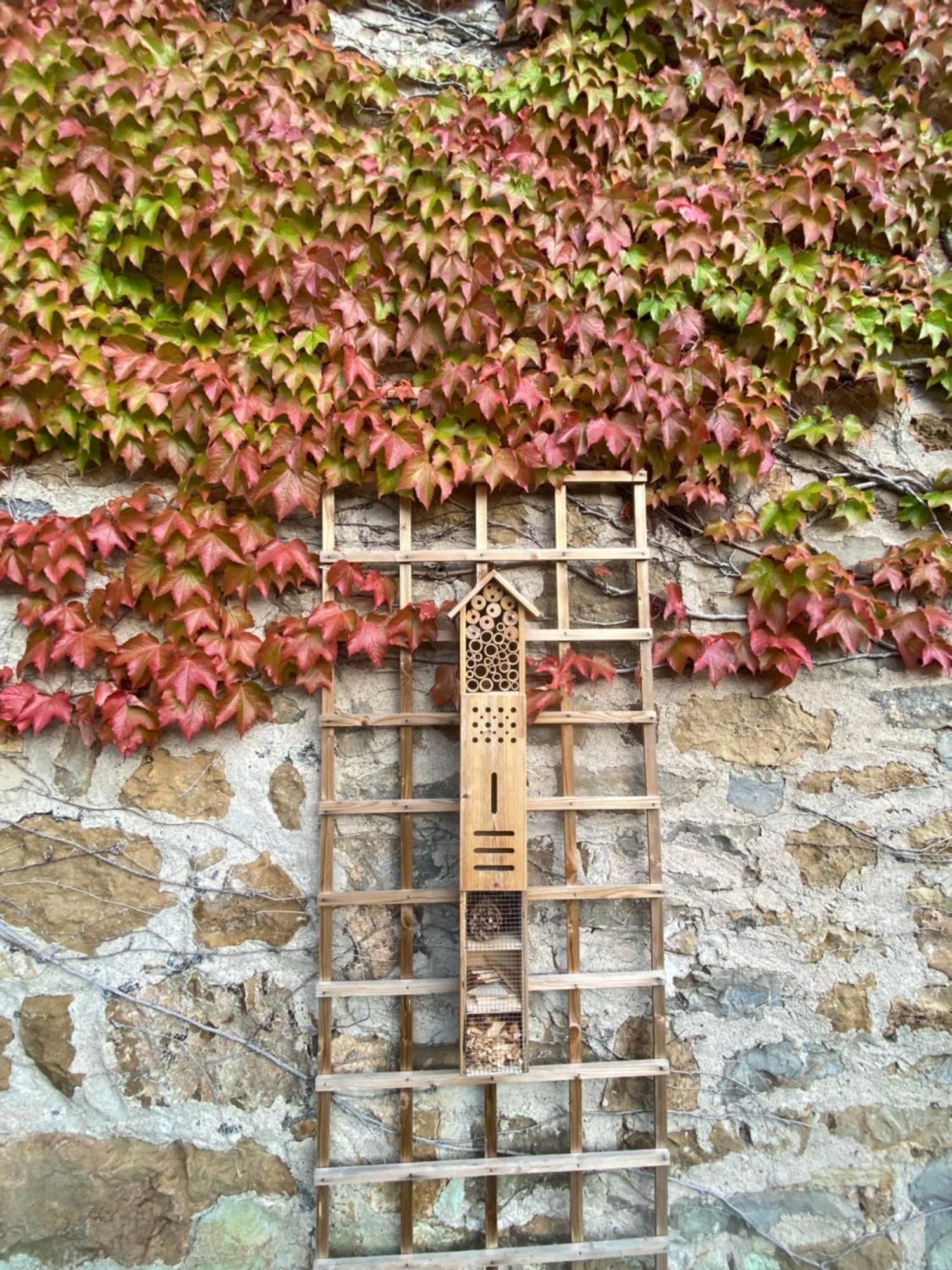 Les Caselles, Gite Et Maison D'Hotes Saint-Beauzely 外观 照片